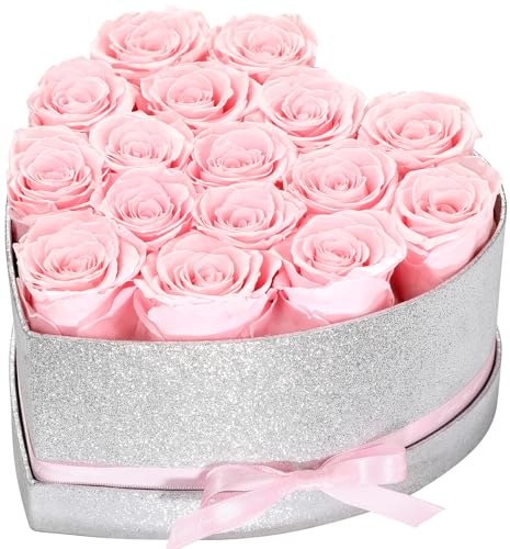 Pinnetetti Flowers for Delivery, 16 Pink Forever Roses in a Box, Preserved Rose-Long Lasting, Anniversary Mothers Day Birthday Valentines Day Flower Gifts for Women Mom Wife Girlfriend Her Grandma