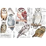 Redesign with Prima - Owls Small Transfers 6"x12" 3 Sheets Rub on Transfers for Furniture Vintage Rub on Transfers Stickers for Crafts Classic Spring Summer Autumn Decoration