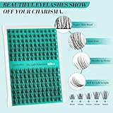 Lash Extension Kit,DIY Eyelash Clusters Kit 168Pcs with Lash Bond and Seal Glue Waterproof,Eyelashes Remover for Lash Cluster Extensions Kit for Beginner,Lashes Applicator Tool(Medusa,D-Mix8-16mm Kit)