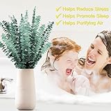 Bulk Package 30 PCS Real Dried Eucalyptus Plant Large Stems for Shower, Natural Fresh Eucalyptus Leaves,17'' Hanging Eucalyptus for Self-Care Shower Leave Bundle, Arrangement, Wedding, Home Decor