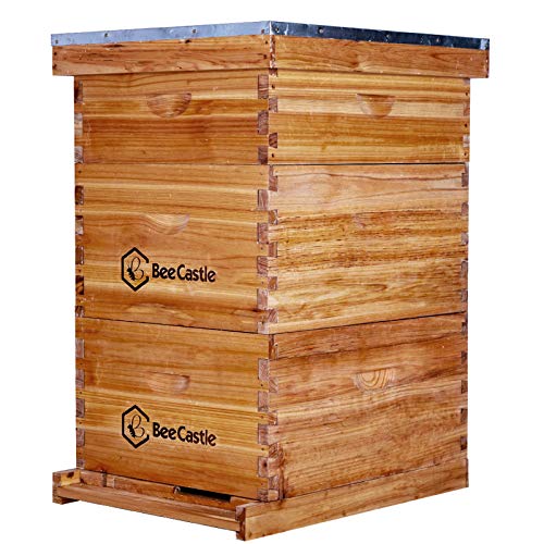 BeeCastle 10 Frame Langstroth Bee Hive Coated with Beeswax Includes Beehive Frames and Waxed Foundations (2 Deep Boxes & 1 Medium Box)