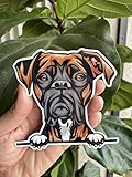 WickedGoodz Boxer Dog Magnet - Dog Breed Refrigerator Magnet