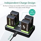 LP Rechargeable 9V Lithium Batteries - 600mAh Long Lasting LI-ion Batteries with Micro USB Charging Station - 4-Pack 9 Volt Batteries