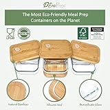 EcoPreps Glass Meal Prep Containers with Bamboo Lids, 2 Compartment Glass Bento Box Containers [3 Pack] 100% Plastic Free, Eco-Friendly, Glass Food Storage Containers, Glass Lunch Containers with Lids