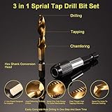 THINKWORK Combination Drill Tap & Tap Bit Set, 3-in-1 Titanium Coated Screw Tapping Bit Tool for Drilling, Tapping, Countersinking, with Quick-Change Adapter, 13 PCS SAE/Metric