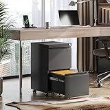 DEVAISE 2 Drawer File Cabinet with Lock, Metal Filing Cabinet Fully Assembled Except Casters, Under Desk File Cabinets for Home Office Fit Letter/Legal/A4 Size Files, Black