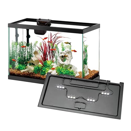 Aqueon 20 Gallon Aquarium Starter Kit with SmartClean Filtration and LED Lighting for Tropical Freshwater Fish