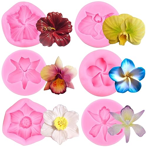 ZiXiang Orchid Flower Silicone Mold Plumeria Flower Fondant Mold Hibiscus Flower Chocolate Molds For Flower Cake Decorating Cupcake Topper Candy Polymer Clay Gum Paste Set Of 6