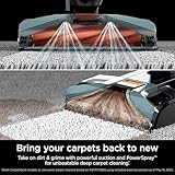 Shark CarpetXpert Upright Deep Carpet Cleaner with Handheld Spot & Stain Eliminator, 12oz Cleanser, Dirt & Grime Removal, Carpet Shampooer, Slate Green, EX151