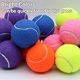 SHYUJAJIE Tennis Balls, 20 Pack Training Tennis Balls,High Elasticity Practice Tennis Balls for Beginner, Exercise Playing Balls for Pet Dog (Multicolour)