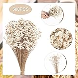 500 Pcs Natural Dry Flowers Mini Chamomile Small Star Daisy Dried Flowers Decorative White Daisy Bouquet for Wedding Vase Arrangements Decorations