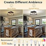 FadimiKoo 4-Light Black Flush Mount Ceiling Light for Kitchen Hallway, Industrial Close to Ceiling Lighting, Farmhouse Square Cage Ceiling Lamp for Dining Room, Living Room, Bulb Not Included