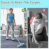 Eaersan Carpet Rake for Pet Hair Removal - Reusable Pet Hair Remover, 60” Adjustable Long Handle Cat Dog Hair Removal Tool, Carpet Rake Scraper, Pet Hair Removal Brush for Rugs, Mats, Couch, Furniture