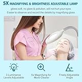 Professional 3 in 1 Facial Steamer for Face Deep Cleaning Ozone Face Steamer with 5X Magnifying Lamp Hot Cool Mist Function for Salon Spa Home Beauty Equipment (3 in 1 Facial Steamer)