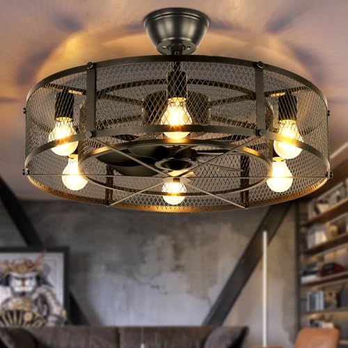 Depuley Big Caged Ceiling Fan: 26 Inch Large Industrial Ceiling Fan Light for Indoor - Remote Ceiling Fan for Farmhouse Outdoor