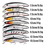 LINGYUE Bass Fishing Lures Kit Set Topwater Hard Baits Minnow Crankbait Pencil VIB Swimbait for Bass Pike Fit Saltwater and Freshwater (50pcs Gary)