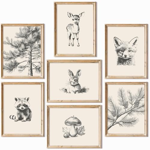 Nursery Wall Art Woodland Animal Canvas Wall Decor Baby Room Pictures Forest Animal Prints Kids Wall Art Pine Tree Poster Nature Vintage Artwork Deer Fox Painting for Bedroom 12x16x7 Inch Unframed
