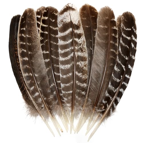 Natural Wild Turkey Feathers Wing 8-10inch (20-25cm) for Crafts DIY Home Wedding Party Halloween Decoration Feathers (20pcs)