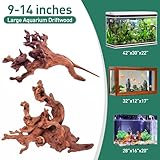 WDEFUN Natural Driftwood for Aquarium Decor, 2-Piece 10''-14'' Large Driftwood for Decorations on Fish Tank, Reptiles Bearded Dragon Accessories or Air Plants