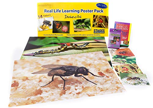 Stages Learning Materials: Insects and Bugs Themed Kit for Preschool and Early Childhood Learning Centers