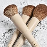 LORYP 18 Piece Makeup Brushes Set Labeled Face and Eye Brush Set Complete with Foundation, Concealer, Contour, Blending, Blush, Eyeshadow Brushes with Travel Holder Case