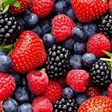 Breoudo 1200+ Mix Fruit Seeds, Berry Seeds - 6 Variety Non-GMO Heirloom Organic, Include Strawberry Seeds, Raspberry Seeds, Mulberry Seeds, Cranberry Seeds, Cherry Seeds, Blueberry Seeds