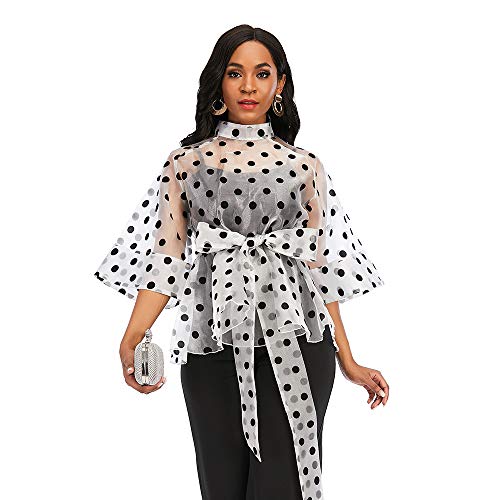 AOMEI Women's Stand Collar Polka Dot See Through Front Tie Peplum Blouse Transparent M