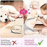 3 Pieces Dog Diaper Striped Sanitary Pantie with Adjustable Suspender Washable Reusable Puppy Sanitary Panties Cute Pet Underwear Diaper Jumpsuits for Female Dogs (Animal Pattern,M)