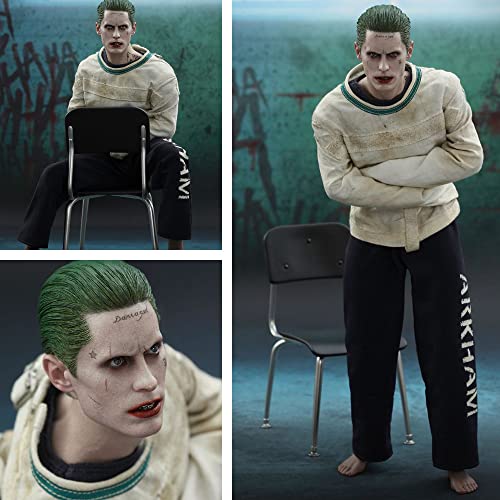 Hot Toys The Joker Arkham Asylum Version 1/6 Scale Suicide Squad 902769