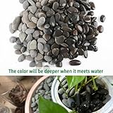 7LB River Rocks Mexican Beach Pebbles for Garden Landscape Plants Paving Grey (1Inch)