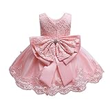 Baby Girls Christmas Embroidery Lace Dresses Infant Easter Halloween Wedding Formal Event Dress(Pink02,24M)