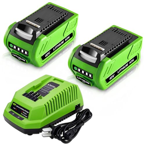 2Pack 40V 6000mAh Lithium ion 29462 29472 Replacement Battery and 29482 Charger Compatible with GreenWorks 40V GMAX Power Tools 29472 29252 20202 22262 25312 25322 20642 22272 27062 G-MAX Tool (Green)