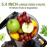 Cold Press Juicer, 5.4" Wide Feed Chute Juice Extractor Machine with 400W, High Juice Yield, Slow Masticating Juicer for Whole Vegetables & Fruits, Light Gray