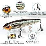 TRUSCEND Pencil Fishing Lures with VMC/BKK Hooks, 2 in 1 Pencil Plopper, Floating Pencil Popper, Dog Walker for Freshwater and Saltwater, Long-Cast Topwater Fishing Lures or Quake Sinking Pencil Baits