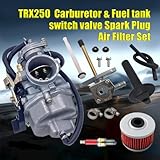 Recon 250 Carburetor with Fuel Tank Petcock Valve Set Fits for Honda TRX 250 Recon250 TRX250TM TRX250TE ATV Carb w/Air Filter Oil Filter Spark Plug 16100-hm8-b01