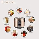 6L Black Garlic Fermenter,MLGB Kimchi machine,Sweet Rice Wine Maker Full Automatic,Natto Maker,Yogurt Pot, FCC UL Listed