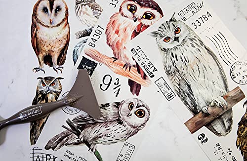 Redesign with Prima - Owls Small Transfers 6"x12" 3 Sheets Rub on Transfers for Furniture Vintage Rub on Transfers Stickers for Crafts Classic Spring Summer Autumn Decoration