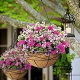 Karlliu 4 Pack 14 Inch Hanging Flower Baskets for Outdoor Plants Large Metal Wire Planters with Coco Liner Pot for Home Planting Black Watering Plant Holders for Outside Garden