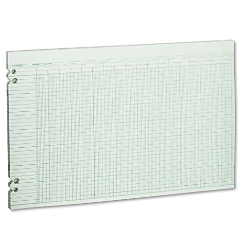 Wilson Jones G5030 Accounting Sheets, 30 Columns, 11 x 17, Green (Pack of 100 Loose Sheets)
