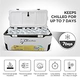 COHO 165QT Ice Chest, Heavy Duty, High Performance Insulated Cooler with Fish Ruler, Removable Threaded Cup Holders, Magnetic Disc, Tie Down Loop, Easy Access Hatch