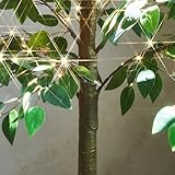 Hairui Artificial Ficus Silk Tree Lights 6FT 264LED Fairy Lights, Faux Plant Tree with Lights for Home Room Spring Summer Decoration Indoor