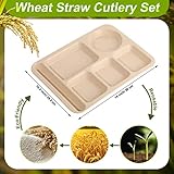 Pinkunn 8 Pcs Large 14 Inch Wheat Straw Divided Plates Unbreakable Divided Plates Dinnerware Set Microwave Dishwasher Lunch Tray Lightweight Plates(Multicolor)