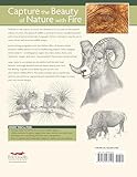 Pyrography Patterns: Basic Techniques and 30 Wildlife Designs for Woodburning (Fox Chapel Publishing) Large, Ready-to-Use Patterns, Both Line and Tonal, plus Tips & Advice from Artist Sue Walters