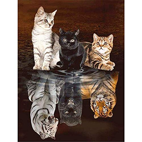 Huacan Diamond Painting Kits - DIY 5D Cat Tiger Full Square Drill Crystal Rhinestone Embroidery Pictures Arts Craft for Home Wall Decor 30x40cm