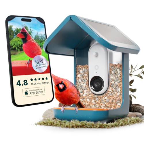 Bird Buddy PRO Solar Smart Bird Feeder with Camera - AI Bird Species Identification, 5MP Photos, 2K HD Video Live Stream Camera, Slow-Motion Video, 2.6in Focus - Blue Solar