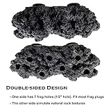 Magnetic Reef Coral Frag Rack Floating Rock Strong Magnets Strong N52 Magnets for 1/2" Glass (Black)