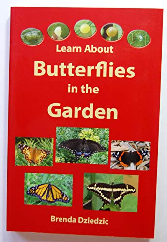 Learn About Butterflies in the Garden