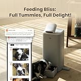 HHOLOVE Automatic Cat Feeder with Camera 360°, 2K HD Video with Night Vision & 2-Way Audio, 5G Cat Food Dispenser with Low Food Sensor, Record Lovely Moments, O Sitter VIP Version