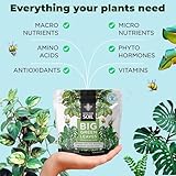 Big Green Leaves | Superfood Houseplant Fertilizer, Indoor Plants - Water Soluble Plant Food + Organic Kelp | 4X More Concentrated | 12-4-8 NPK (1LB)