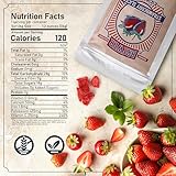 Brewer Outdoor Solutions Freeze Dried Strawberry Slices - No Sugar Added, Bulk Pack of Dehydrated Strawberries, Nutritious and Delicious